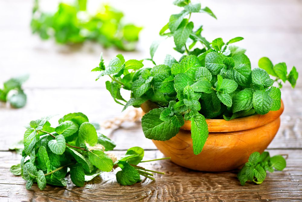 Peppermint essential oil for mental health and anxiety relief