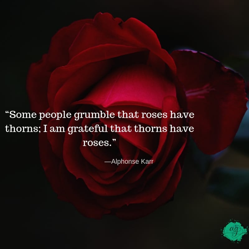 gratitude quotes, gratitude quotes for anxiety, best gratitude quotes, gratitude and anxiety, how to practice gratitude, gratitude benefits for anxiety, how to be more grateful, gratitude activities, why gratitude is important, anxiety gone, anxiety store, natural anxiety relief, natural cures for anxiety, anxiety attack, dealing with anxiety, overcoming anxiety, anxiety program, overcoming anxiety, coping with anxiety, help with anxiety, how to treat anxiety, anxiety subscription box, anxiety box, mental health subscription box, wellness subscription box, healthy subscription box, subscription box anxiety, subscription box for anxiety, subscription box for mental health, overcoming panic attacks, anxiety relief,