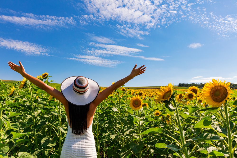 life mastery, 