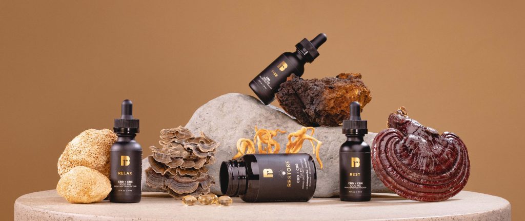 Raw Botanics premium CBD products with adaptogens, perfect for stress relief, relaxation, and overall health and wellness gifts