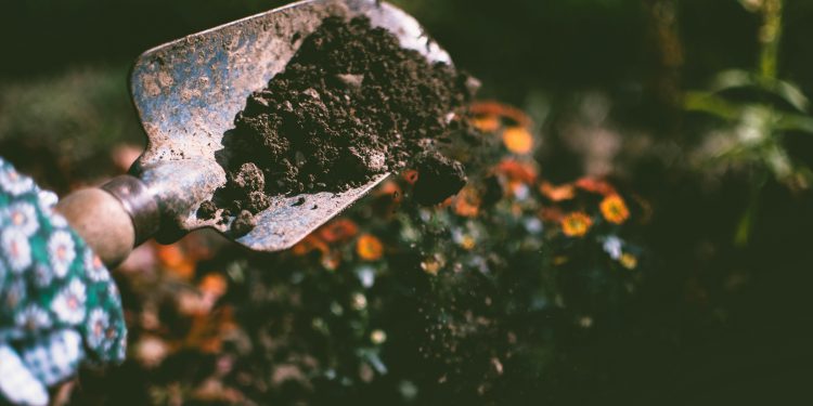 Person relaxing in a garden with self-care items like a fidget ring and worry stone, following easy gardening tips for anxiety relief and mental wellness.